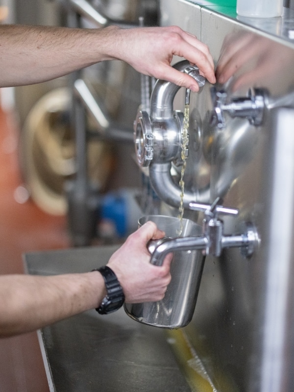 Testing beer during the brewing process